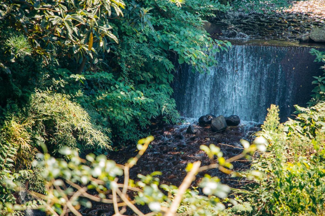 Sea Forest 南熱海 Villa Atami  Exterior photo